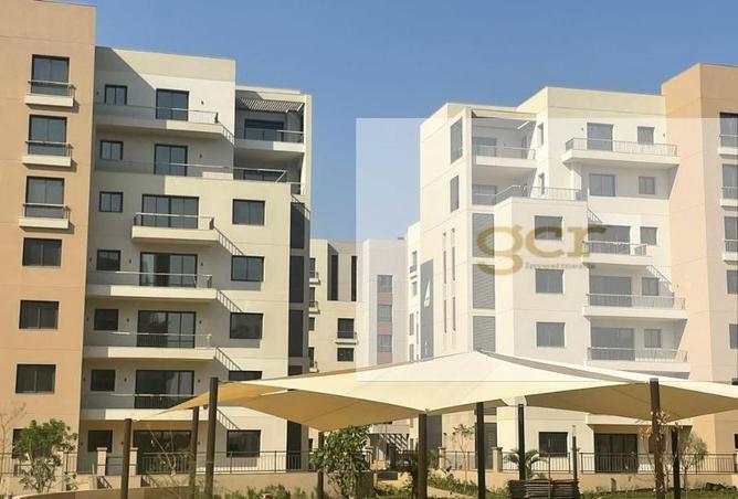 8182453 - Property Image 3