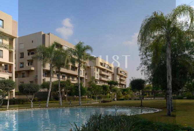 8275712 - Property Image 3