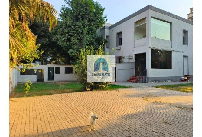 8336042 - الصورة الرئيسية للعقار