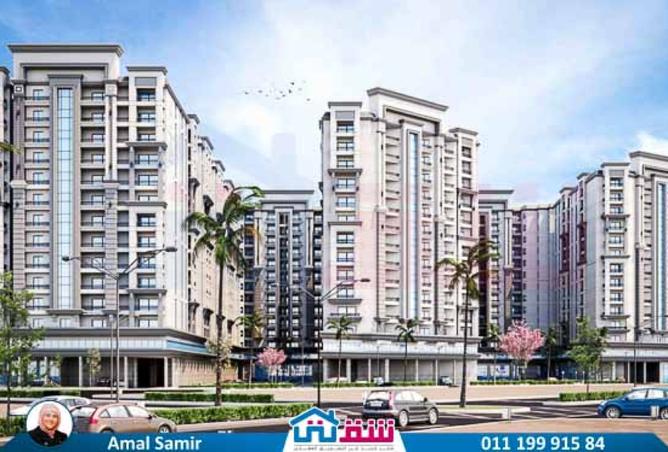 8165566 - Property Image 2