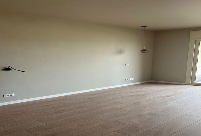 8155395 - Property Image 3