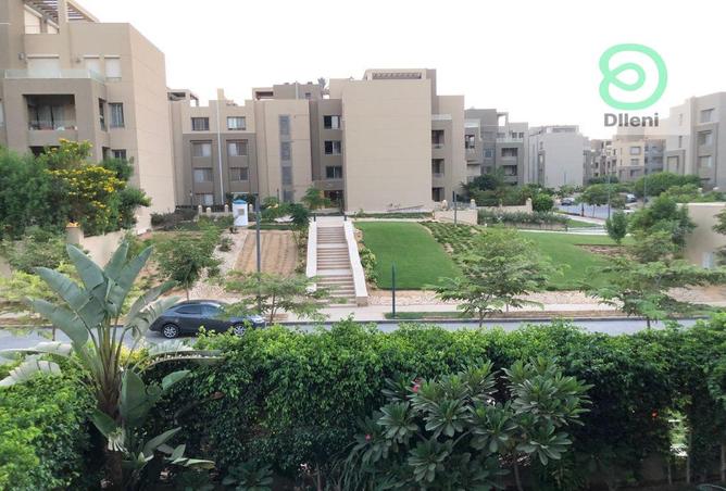 7900276 - صورة العقار 3