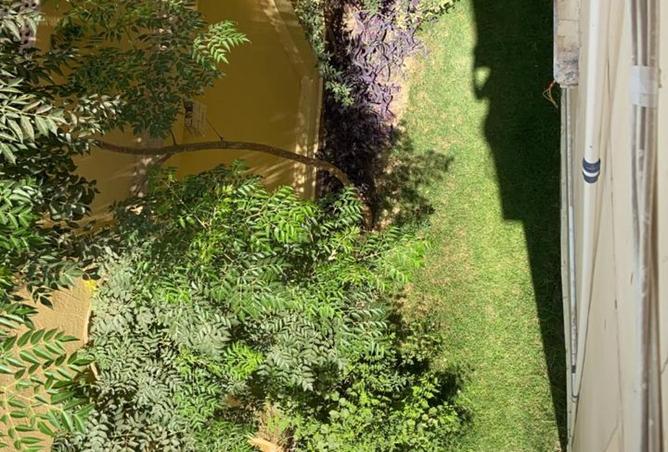 8130683 - صورة العقار 2