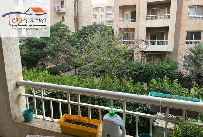 7895087 - الصورة الرئيسية للعقار