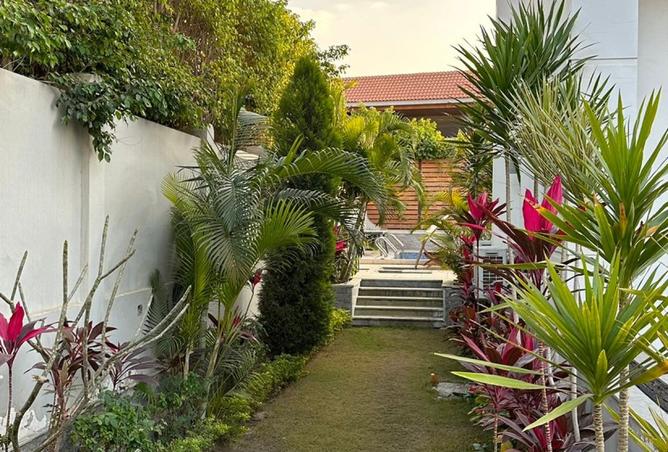 8297693 - Property Image 3