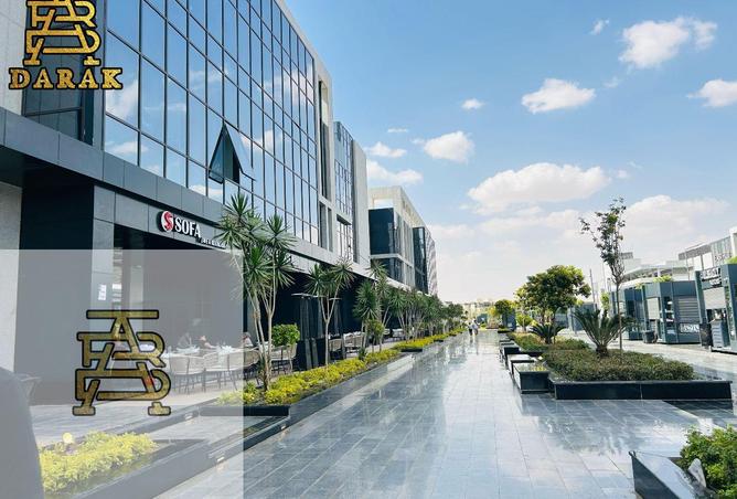 8421247 - Property Image 3