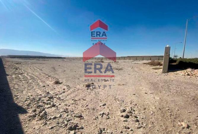 8207482 - Property Image 3