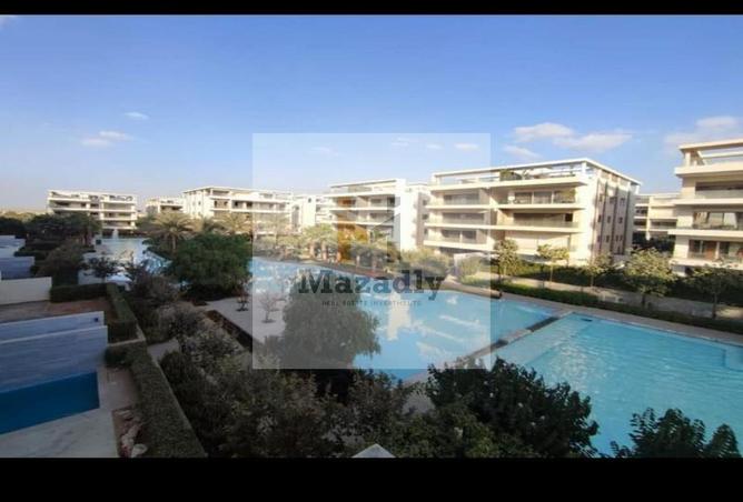 8369510 - Property Image 2