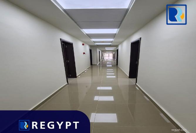 8224969 - Property Image 3