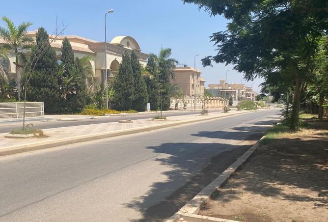 7975795 - صورة العقار 3