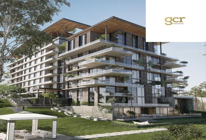 8392984 - Property Image 3