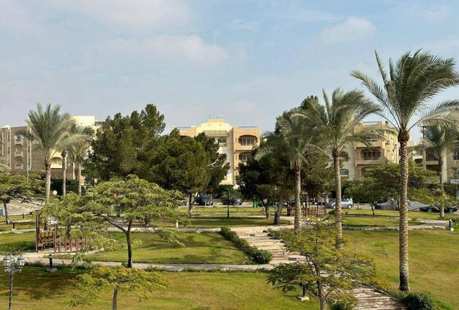 8467380 - Property Image 3