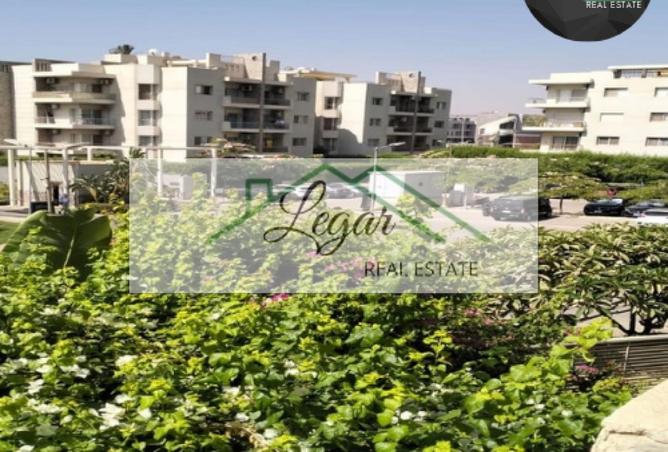 8506779 - Property Image 3