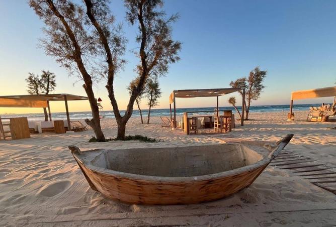 8373483 - صورة العقار 3