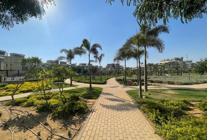 8243640 - صورة العقار 3