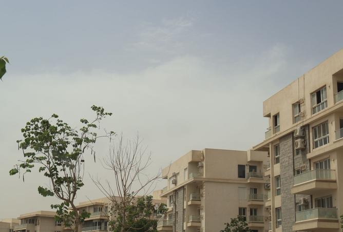 8218818 - صورة العقار 3