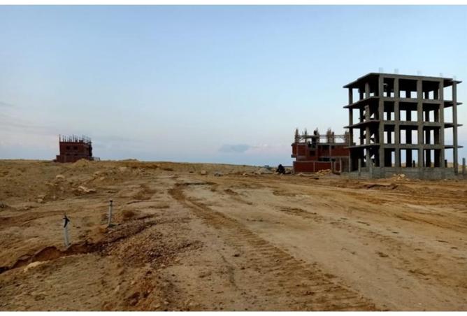 8327246 - صورة العقار 2