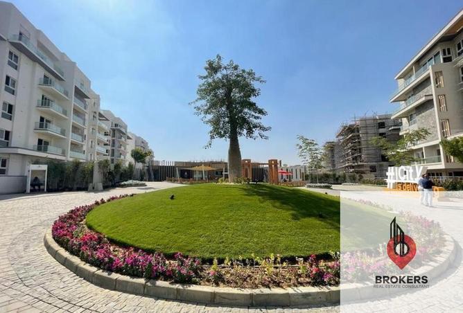 8506034 - صورة العقار 3