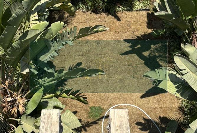 8390554 - Property Image 3