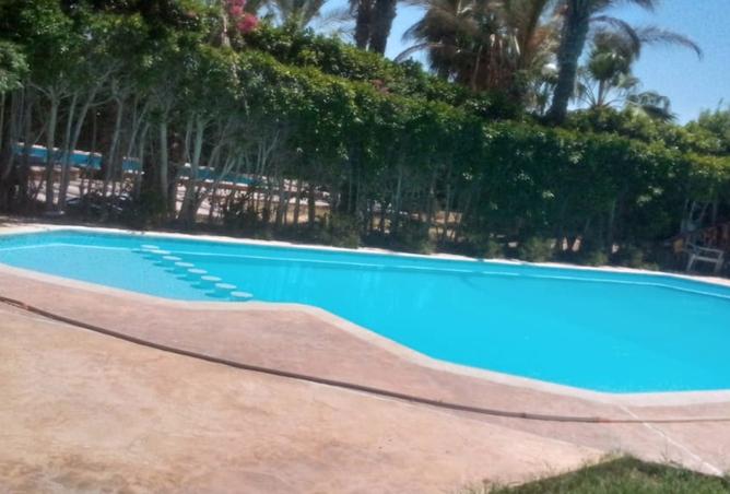 7933946 - الصورة الرئيسية للعقار