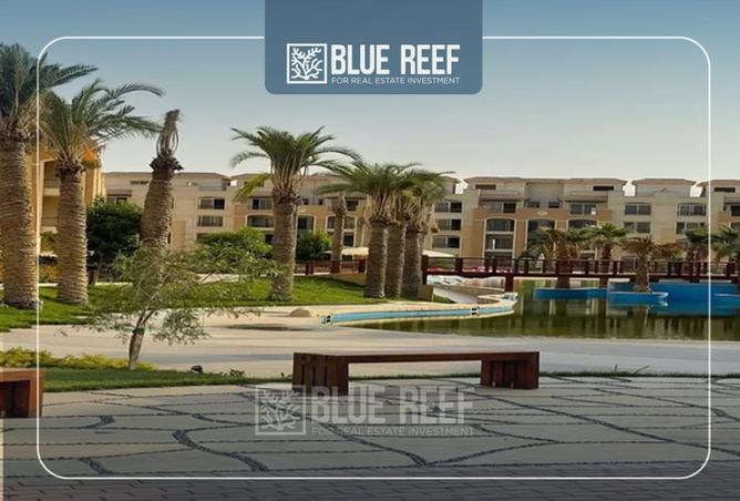 8442556 - Property Image 3