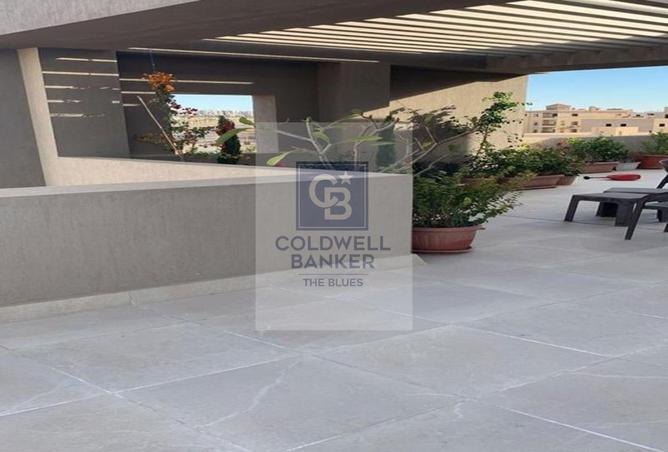 8269418 - Property Image 3