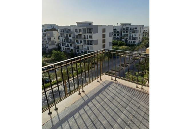 8403381 - صورة العقار 2