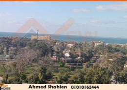 Apartment - 2 bedrooms - 1 bathroom for للبيع in Royal Plaza - El Montazah - Hay Than El Montazah - Alexandria
