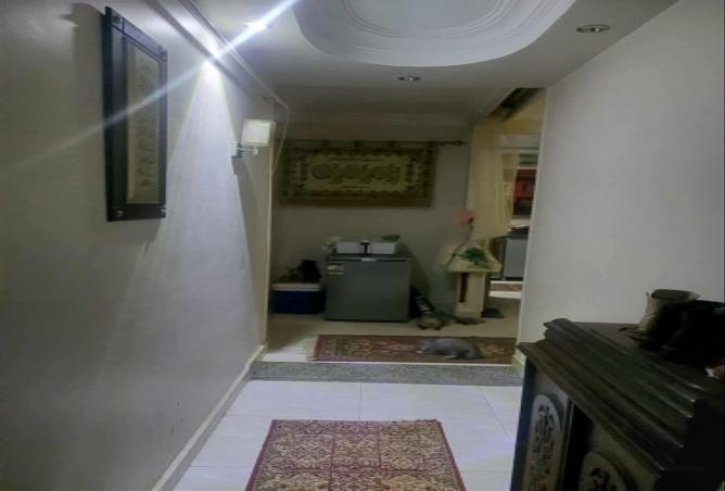 8296891 - Property Image 3