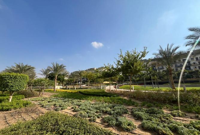 8076942 - Property Image 3