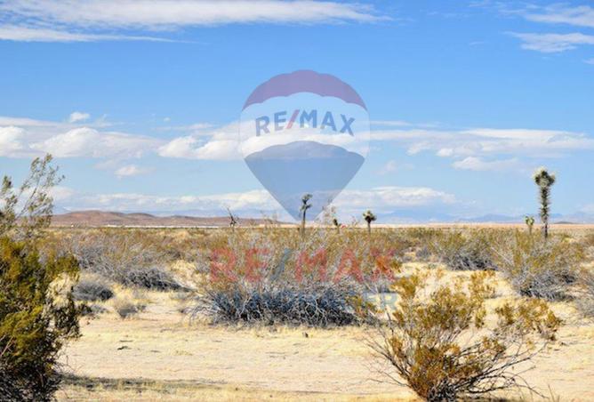 8543325 - Property Image 3