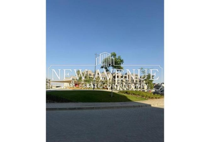 8373139 - Property Image 3