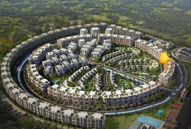 8166018 - صورة العقار 2