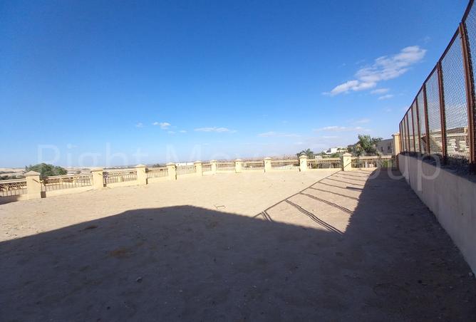 7963330 - صورة العقار 3