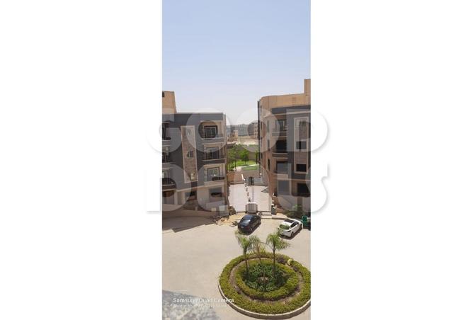 7964391 - صورة العقار 3