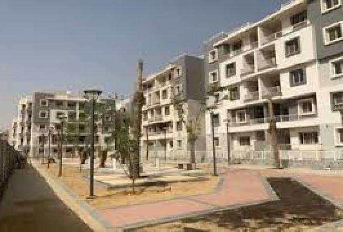 8262781 - صورة العقار 3