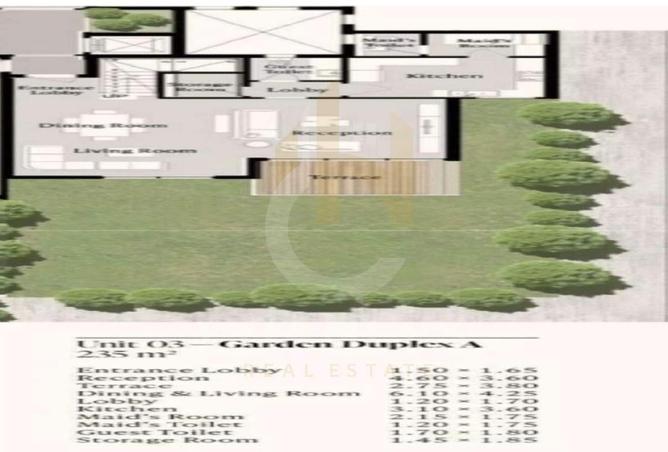 8376929 - Property Image 3