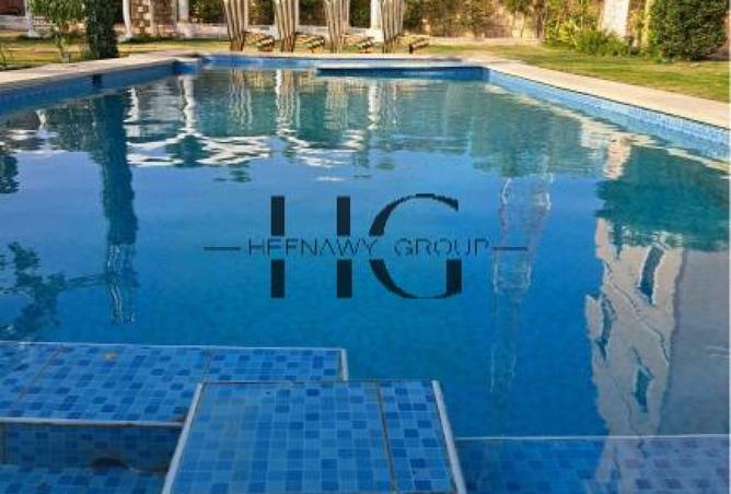 8113927 - Property Image 2