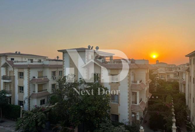 8201214 - Property Image 3