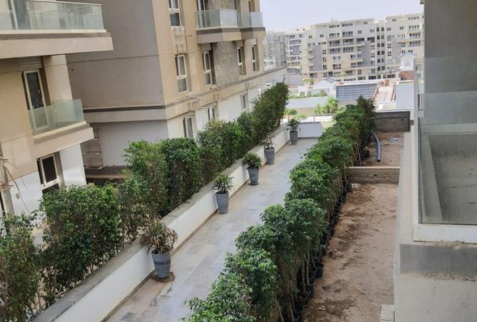 8141774 - Property Main Image