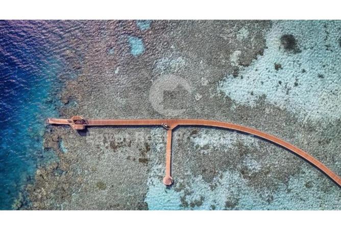 8166557 - صورة العقار 3