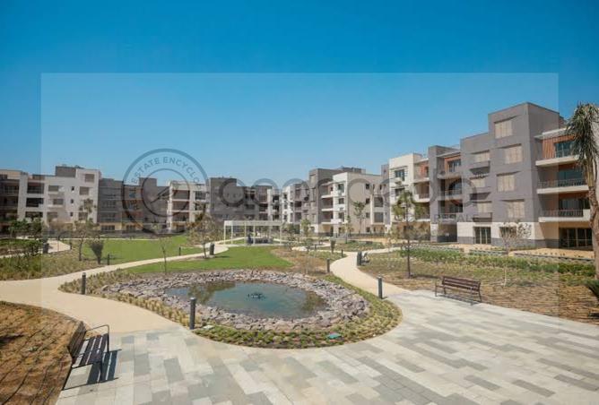 7680324 - Property Image 3