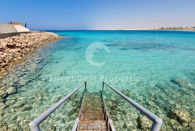 8188861 - صورة العقار 3