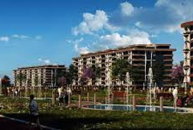 8329915 - Property Image 3