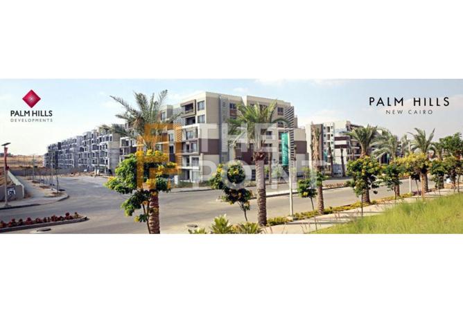 8203905 - صورة العقار 3