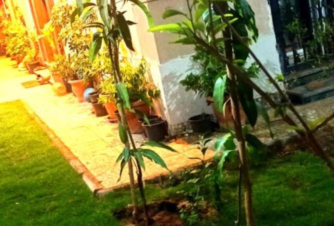 8080904 - Property Image 3