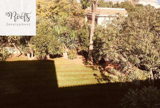 8193237 - صورة العقار 3