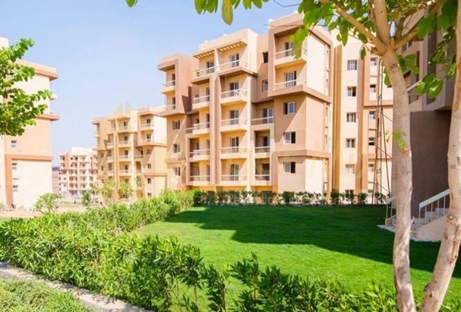 8427170 - صورة العقار 3