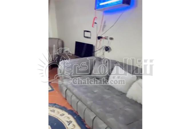 7905853 - صورة العقار 2