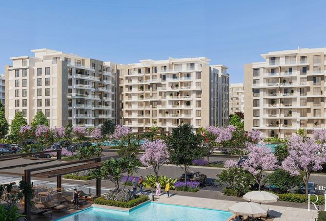 8451592 - Property Image 3